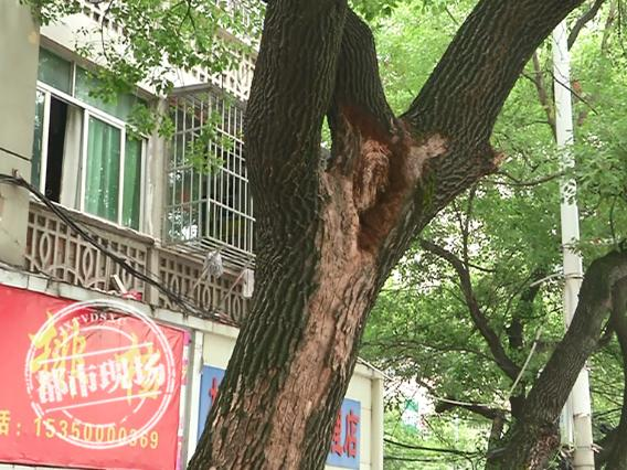 南昌：白蚁进入活跃期，居民不胜其扰，快来学学这些招数