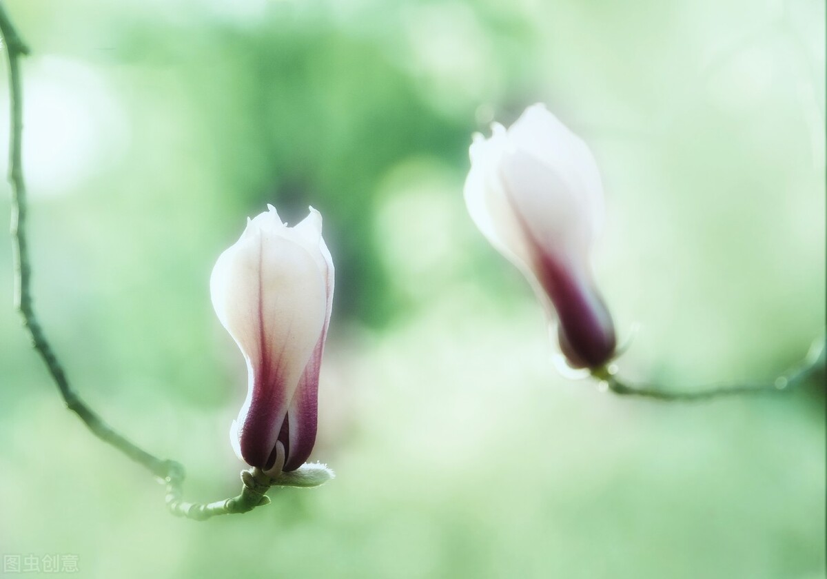 四月：梨花落，春欲晚，花事荼蘼，彼岸无期，闺中风暖，陌上草薰
