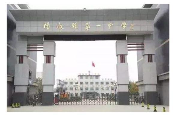 2020高考山东聊城有2人进省前50，10人达685分，他们来自哪些学校