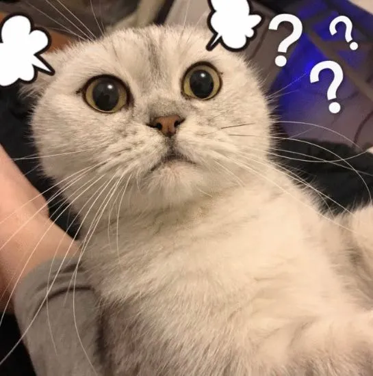 比专柜便宜一半的海外版戴森，是正品吗？