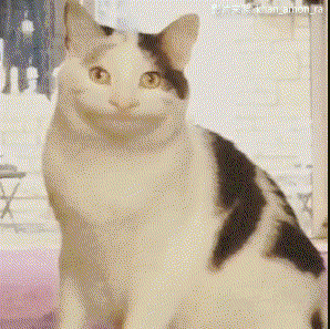 2020版最新法官、检察官表情大全！哈哈哈