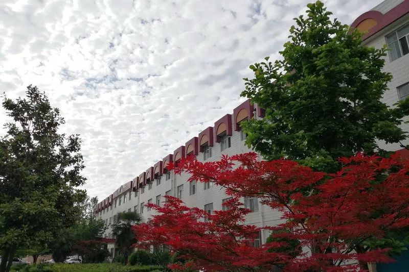 陕西宝鸡最好六所高中，宝鸡中学独成一档，长岭、石油中学不简单