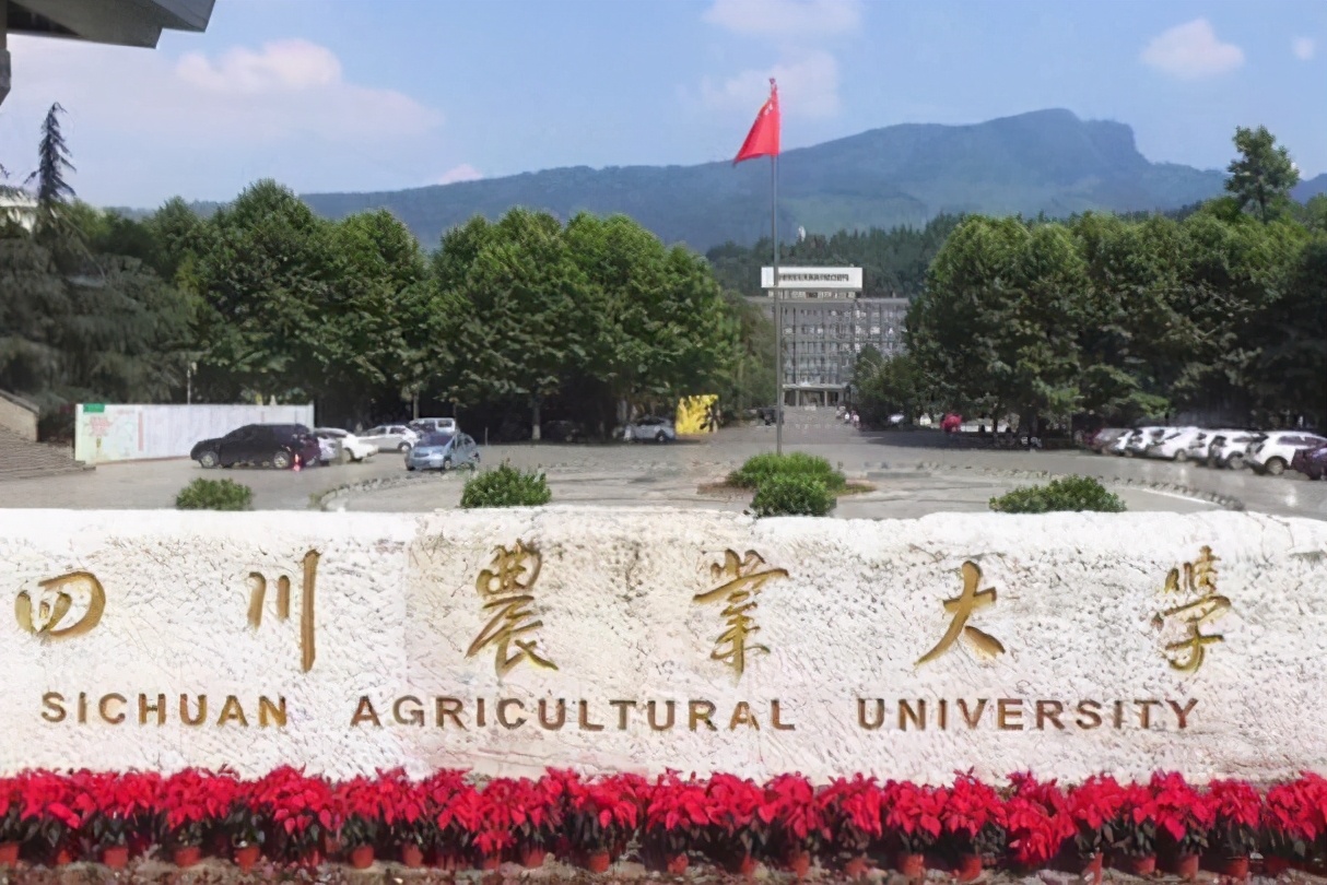 隐身在小城里的大学，学科实力不比一线城市大学差，中等生别错过