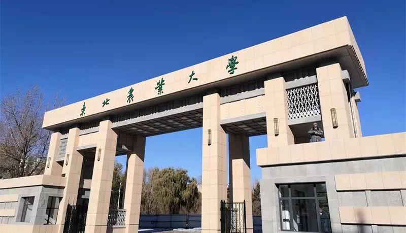 被名称和地理位置耽误的211大学