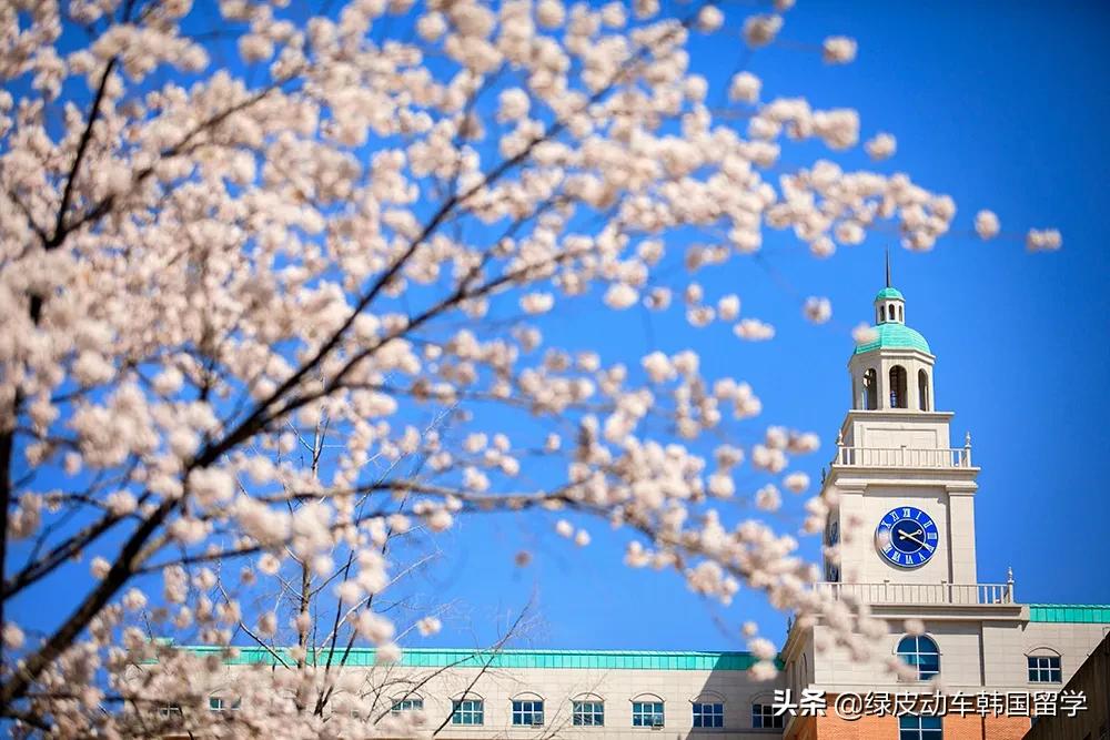 2020年最受留学生青睐的韩国大学排名