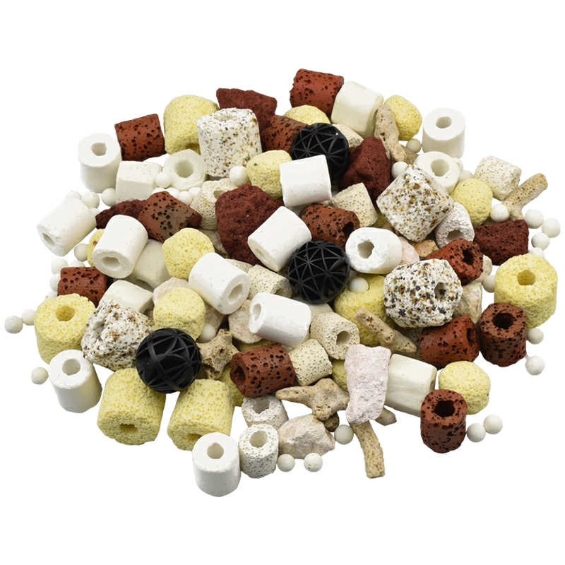 預算不超 200 元，能不能養(yǎng)魚？要買什么？你可以照我說的做 