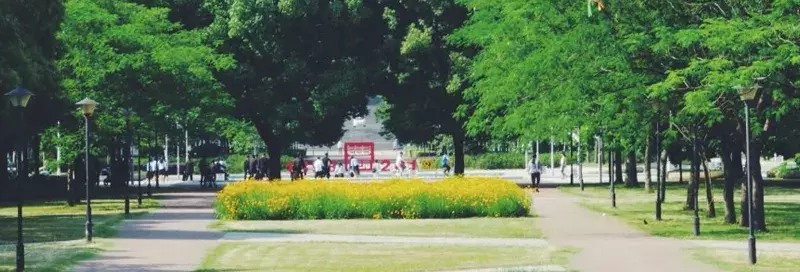 华中农业大学校长李召虎:高校的发展不能过度关注和盲从排名