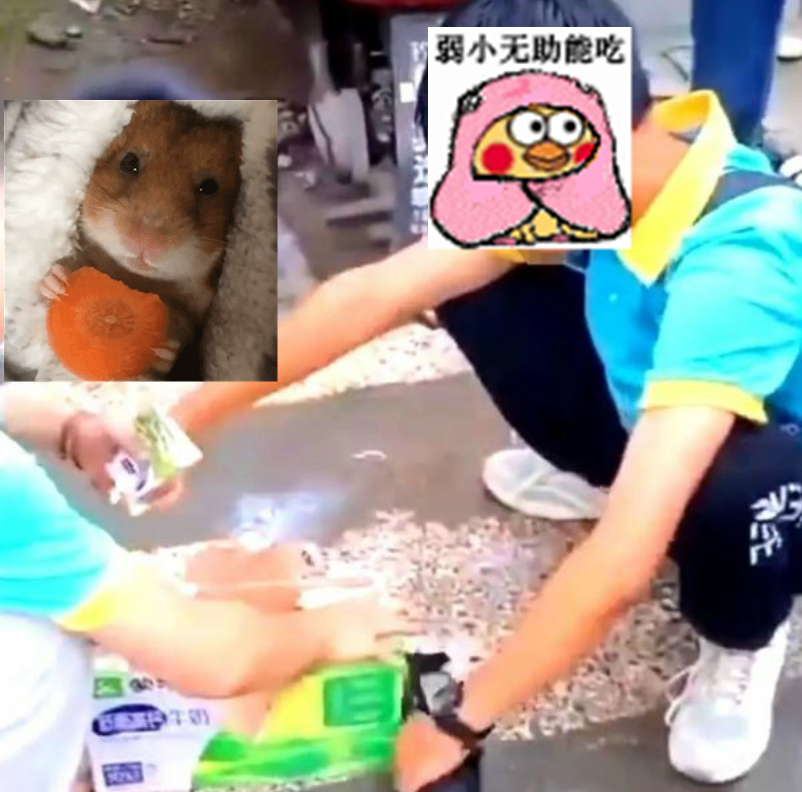 四川外国语学校禁止带牛奶，学生校门口连喝11盒，校方回应引群愤