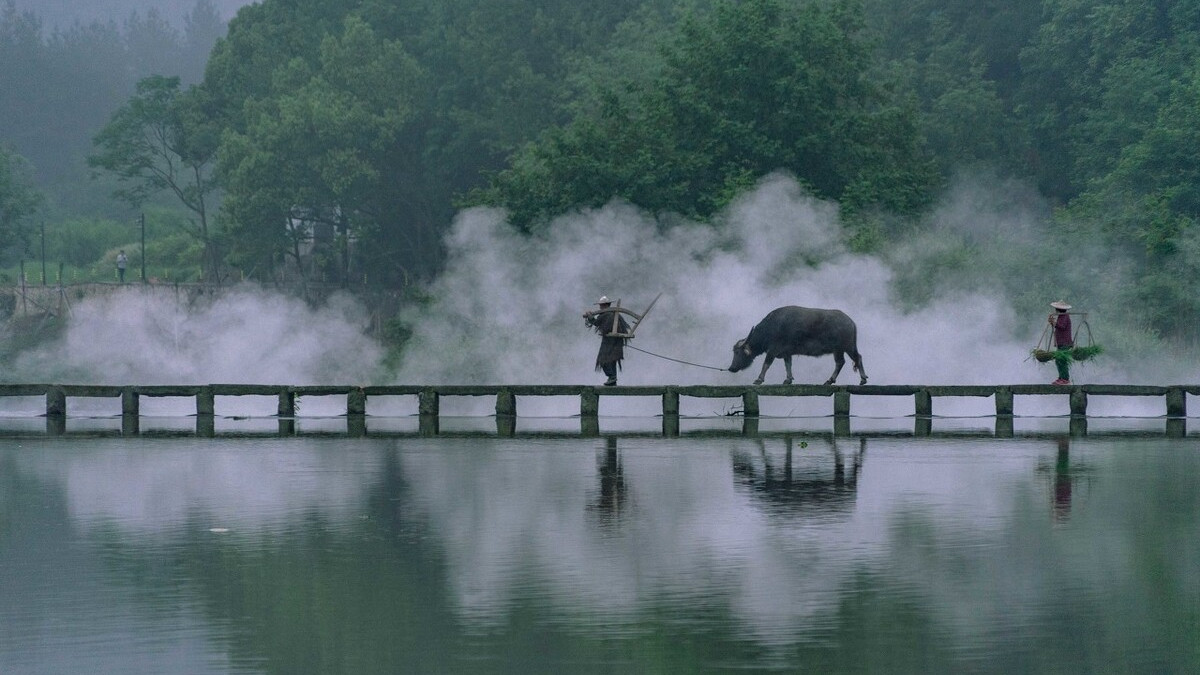 童子柳阴眠正着,一牛吃过柳阴西.