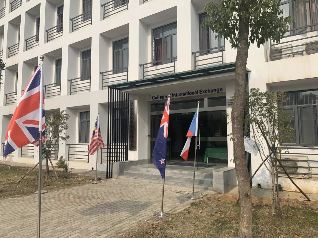 武汉6所民办国际高中盘点！武汉枫叶和外校美加哪个更好？