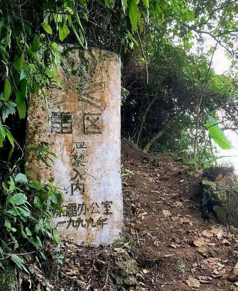 “排雷英雄”杜富国，和平年代立下一等功，如今享受什么待遇？