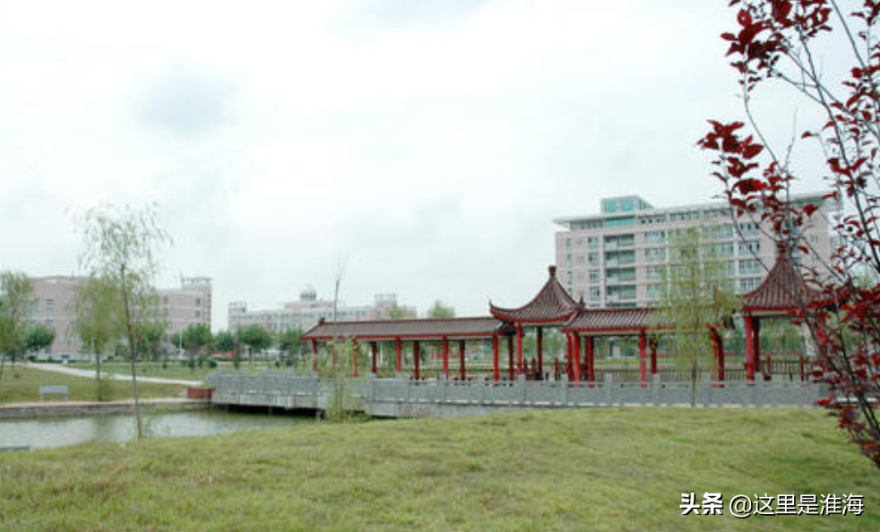 「最强高校」2020年宿州、淮北、宿迁、枣庄的大学哪座更好？