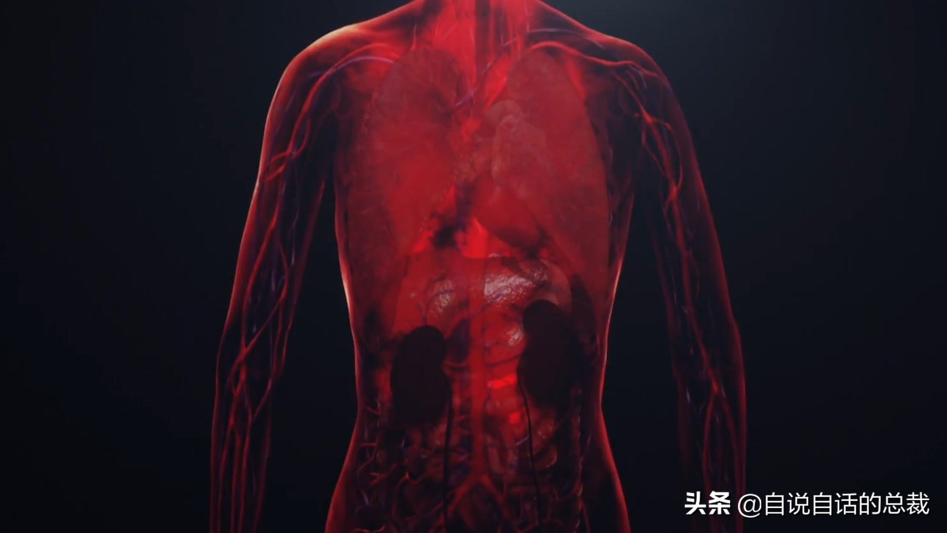 埃博拉：人类的诅咒，你的身体如何对抗它，它到底有多恐怖