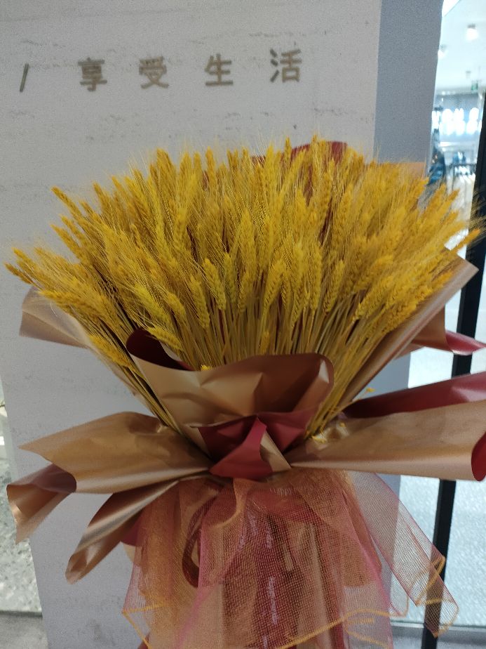 在大商场里看艺术展览是一种什么样的体验？