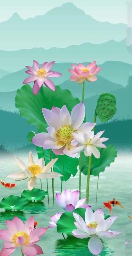 荷花的象征(荷花的象征意义和精神品质)