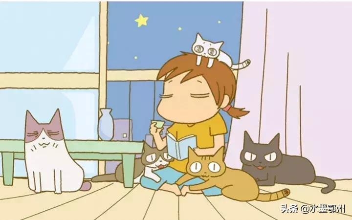 刷完100部“猫片”,发现你们对喵星人的偏见竟如此之大