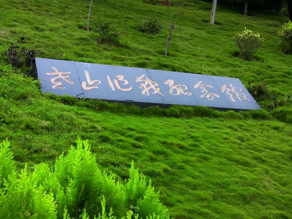 ���˽�ʮ�����ɽս�ۣ���Խ˫�������������ˣ�