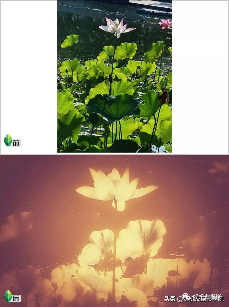 Ps≠专业，手机后期≠低端，选择适合自己的后期工具才是最重要的