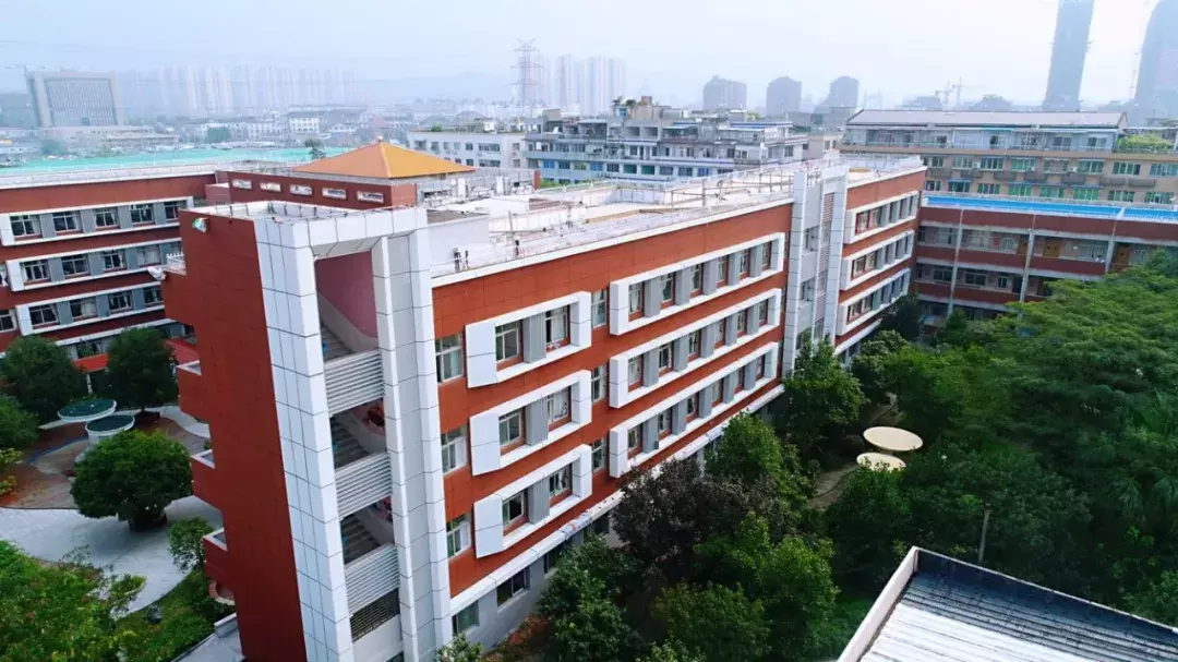 据说，这是全温州最好的十所小学！