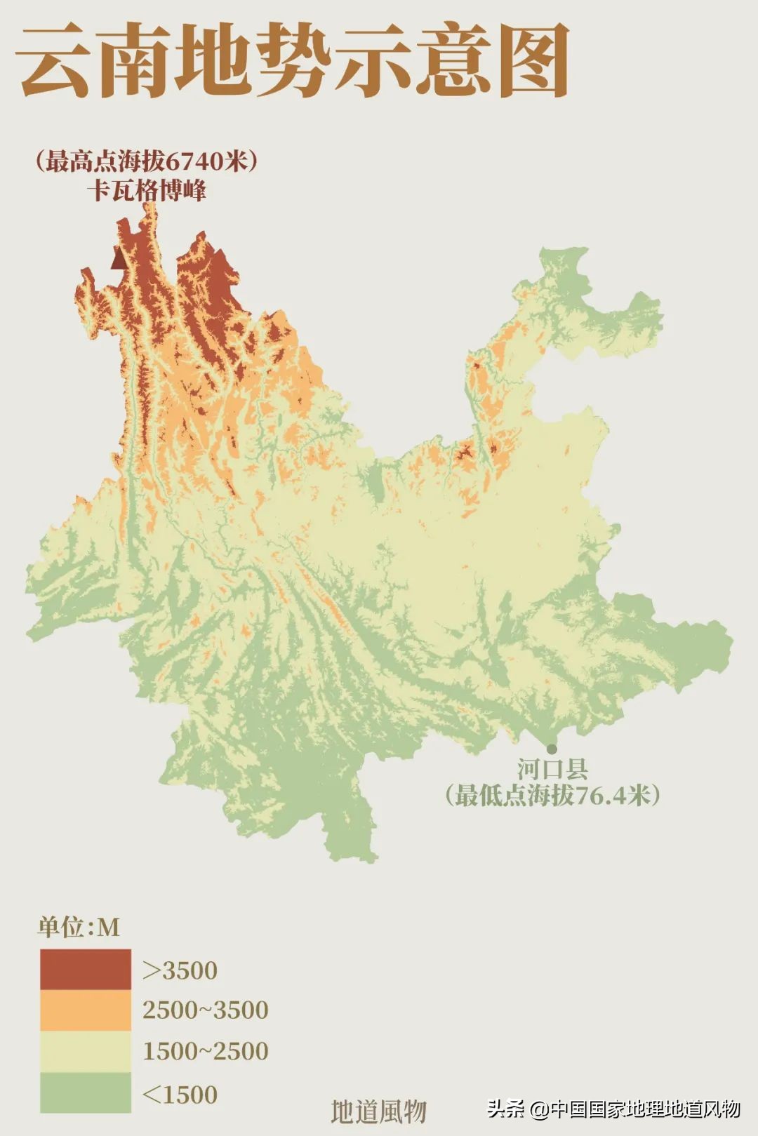 玫瑰、兰花、康乃馨，牡丹、杜鹃、山茶花，云南的花到底有多美？