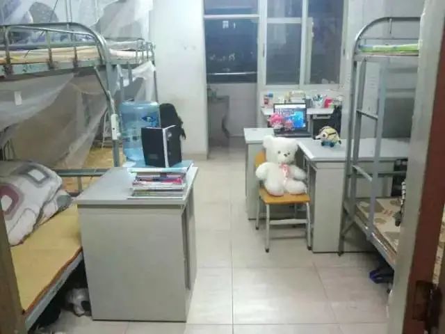 高职高考必看｜全面了解广州城市职业学院