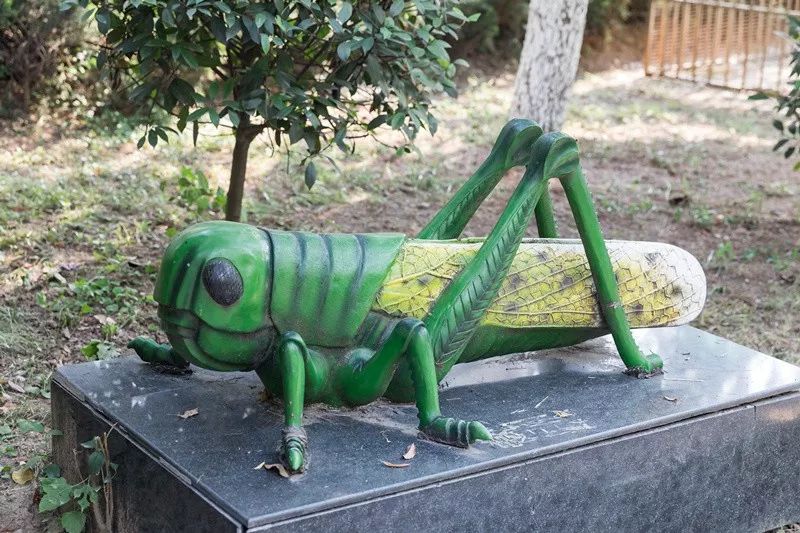 重回长安二中，解锁了一段青春