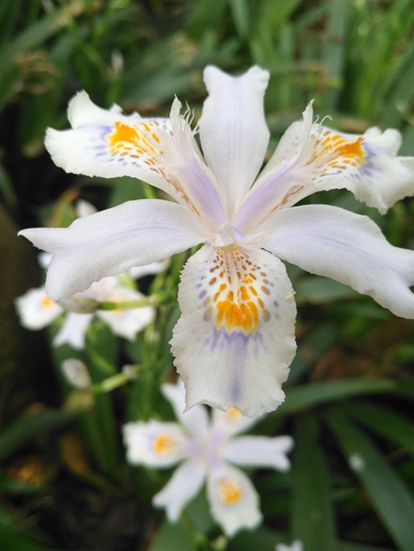 高考语文阅读答题须知：知人论世，解答才能做到客观公允