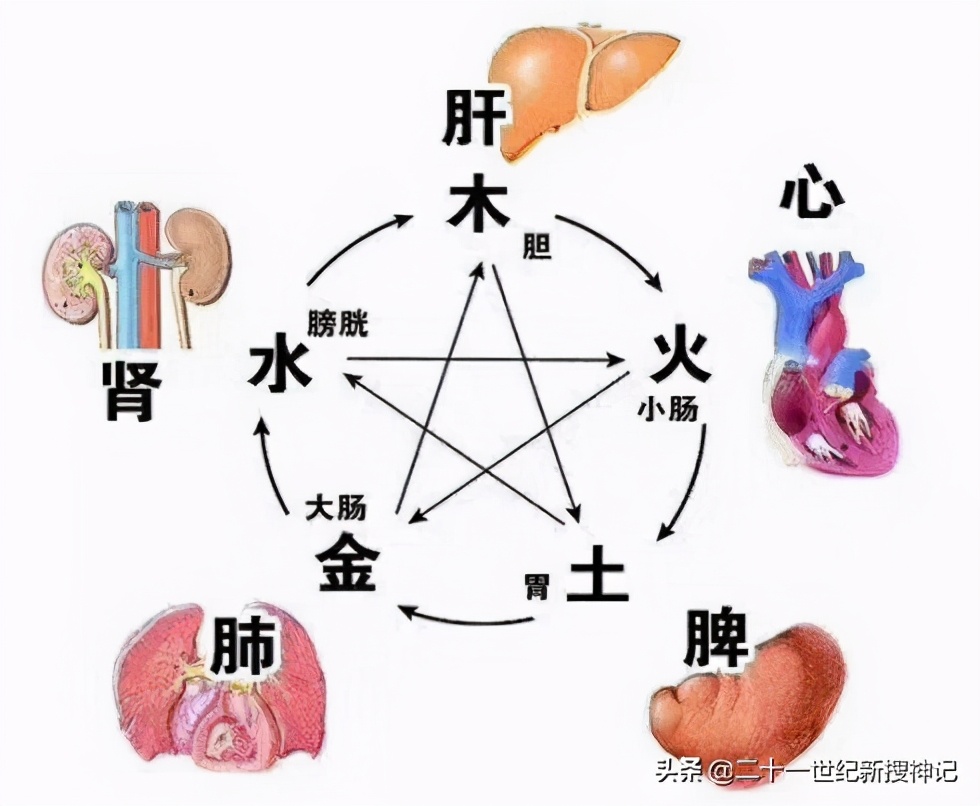 性命之謎(四)肝臟,五臟的大將軍,為何中醫認為肝與眼相連?