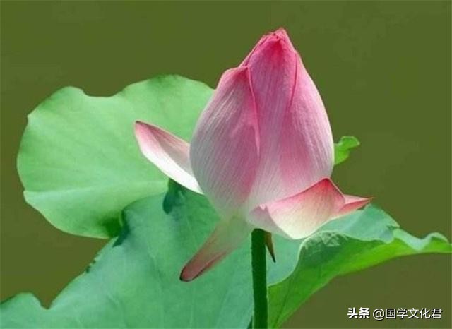 心烦的时候，多读读《道德经》中的这3句话，一切都会好起来