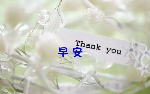 早安心灵鸡汤励志语录 早安励志的说说句子，得福翡翠