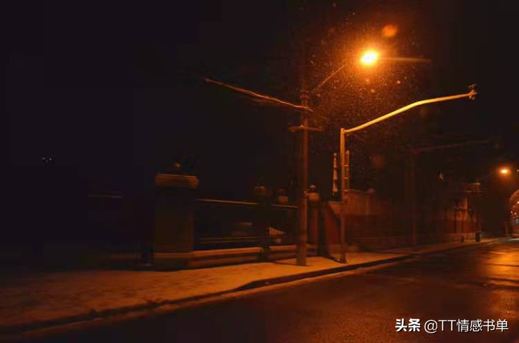 夜色很美，路灯很亮，才理解那句·目之所及皆是回忆
