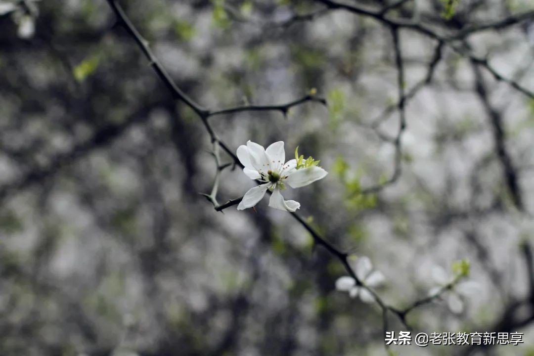 “自嘲是最高级的幽默：用智慧化解尴尬，以轻松姿态展现真实自我”