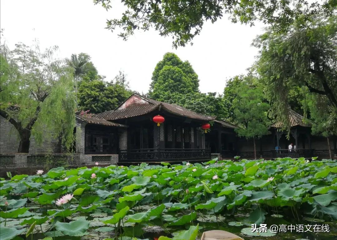 最美古诗词｜宋词中最美的夏：猎猎小池塘，荷花满院香