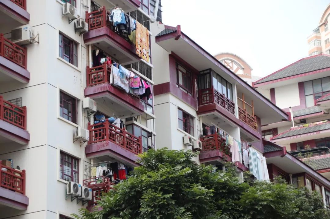 老破小一平10万+！我们走遍厦门18所名校，为你曝光最贵学区房！