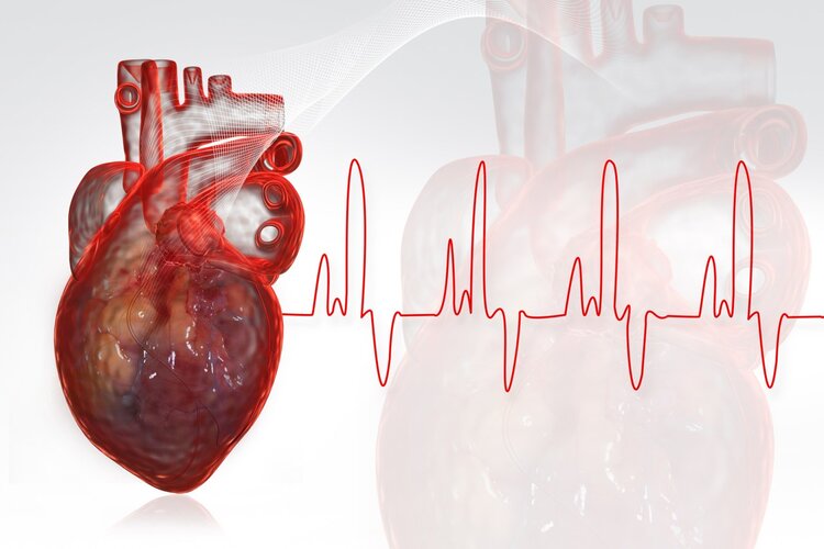 体检查出“窦性心律”是啥意思？心律不齐是心脏病吗？可算明白了