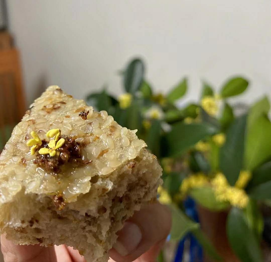 天上人间凝望处，祥云荟萃帝阍开/靳鸿儒辛丑年中秋新韵诗集锦
