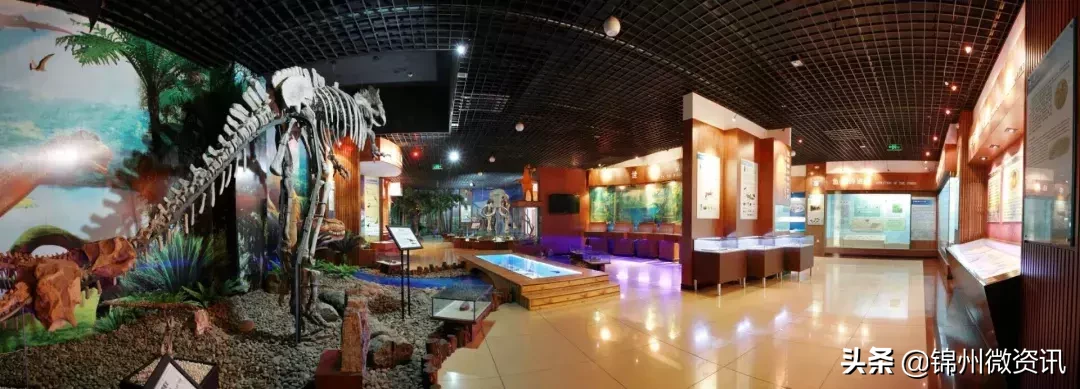 渤海大学关于报到的那些事儿！流程都在这里