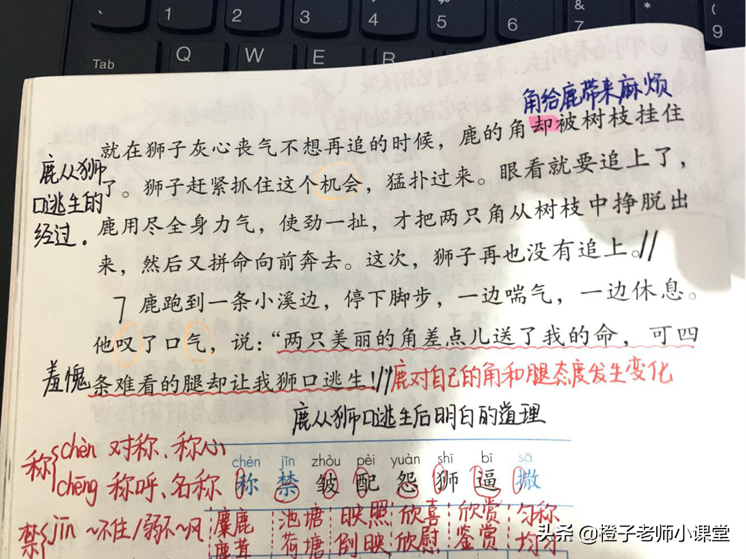 三年级语文《鹿角和鹿腿》，看老师备课笔记，感受鹿的心情变化
