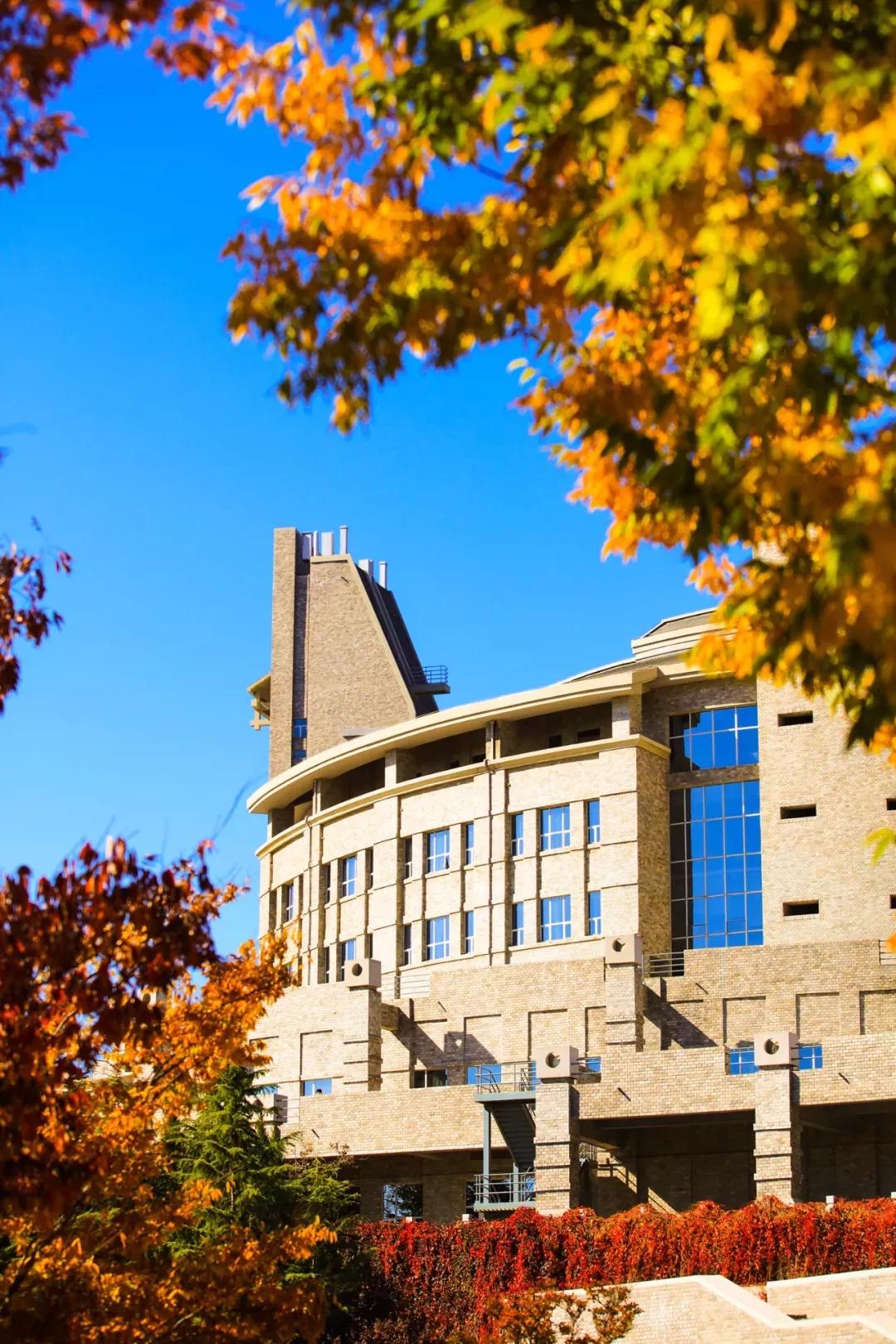 辽宁省民办大学(二)大连东软信息学院