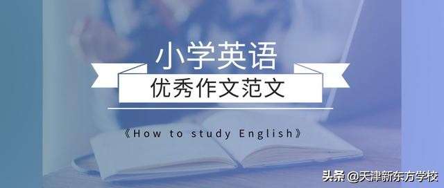 小学英语作文范文《How to study English》