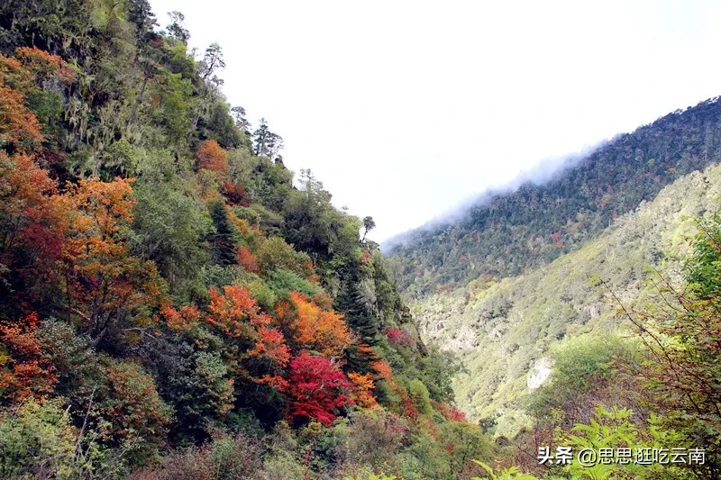 香格里拉的一处秘境，可以躺着看雪山的地方，一生必须走一次