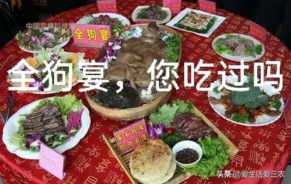 养殖肉狗赚钱吗？来看具体分析！