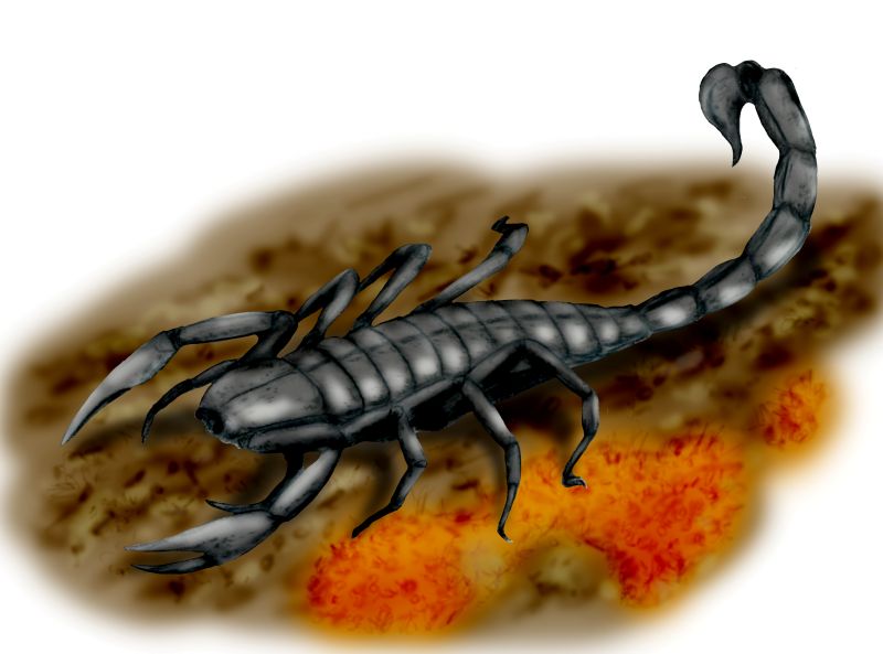 石炭纪为什么能成为“巨虫时代”，这些巨虫又因何而走向没落？