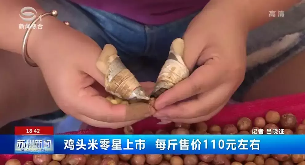 一斤百元的鸡头米,凭什么征服了苏州人的胃?