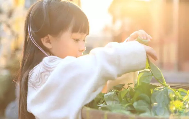 “小芈月”刘楚恬的爸妈长什么样？一看照片惊艳了