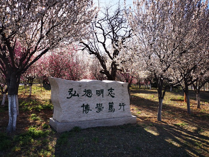 近日，省教育厅公布一项名单，山东师范大学6位教授被“点名”