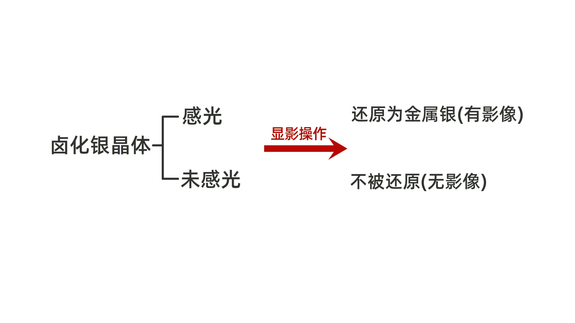 一看就懂：冲洗底片和照片的原理