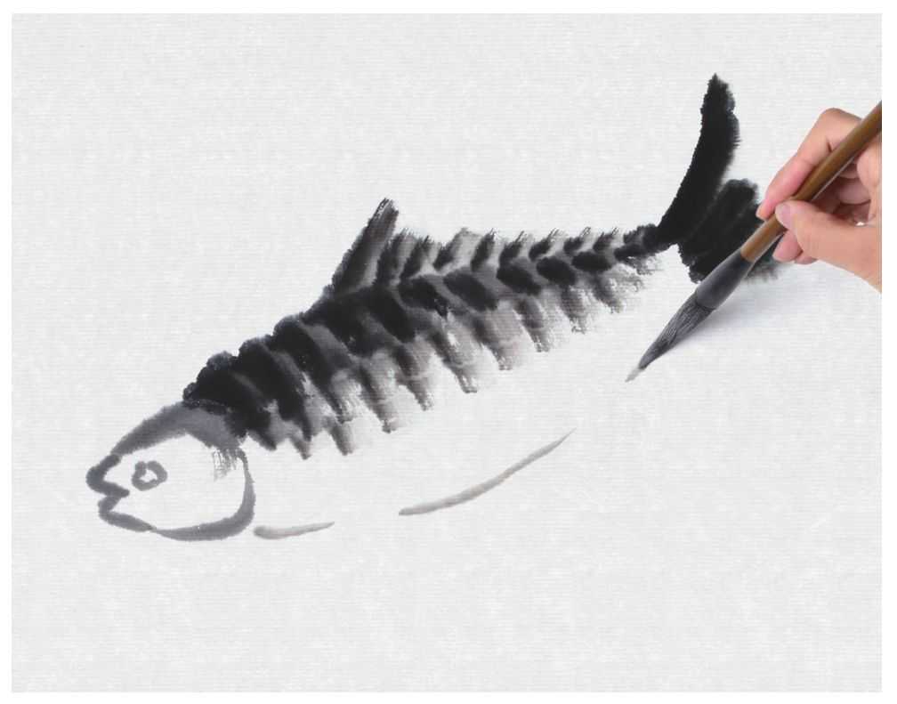 教你画草鱼：用浓墨以中锋为主画出鱼尾，以侧锋画出背鳍，快学习