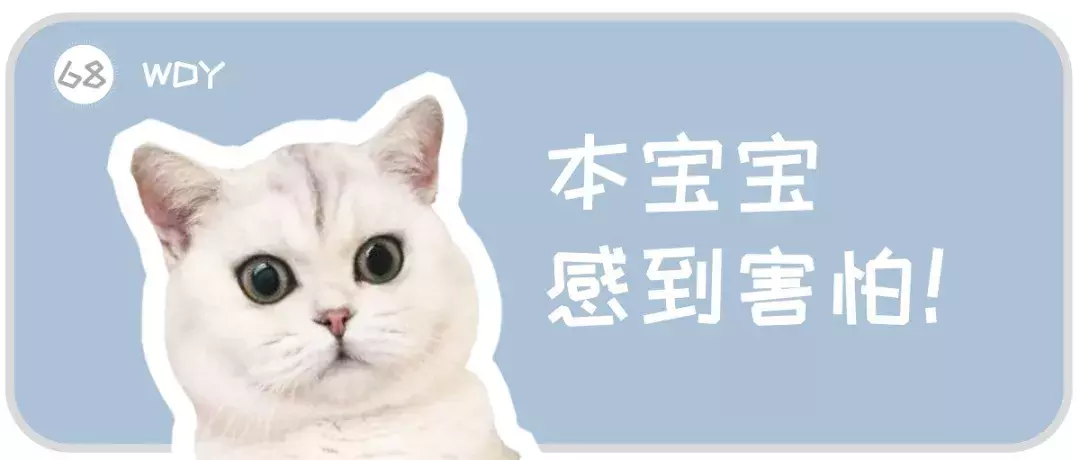 病毒顽强，致死率高达90%，让猫和主人措手不及的猫瘟如何预防？