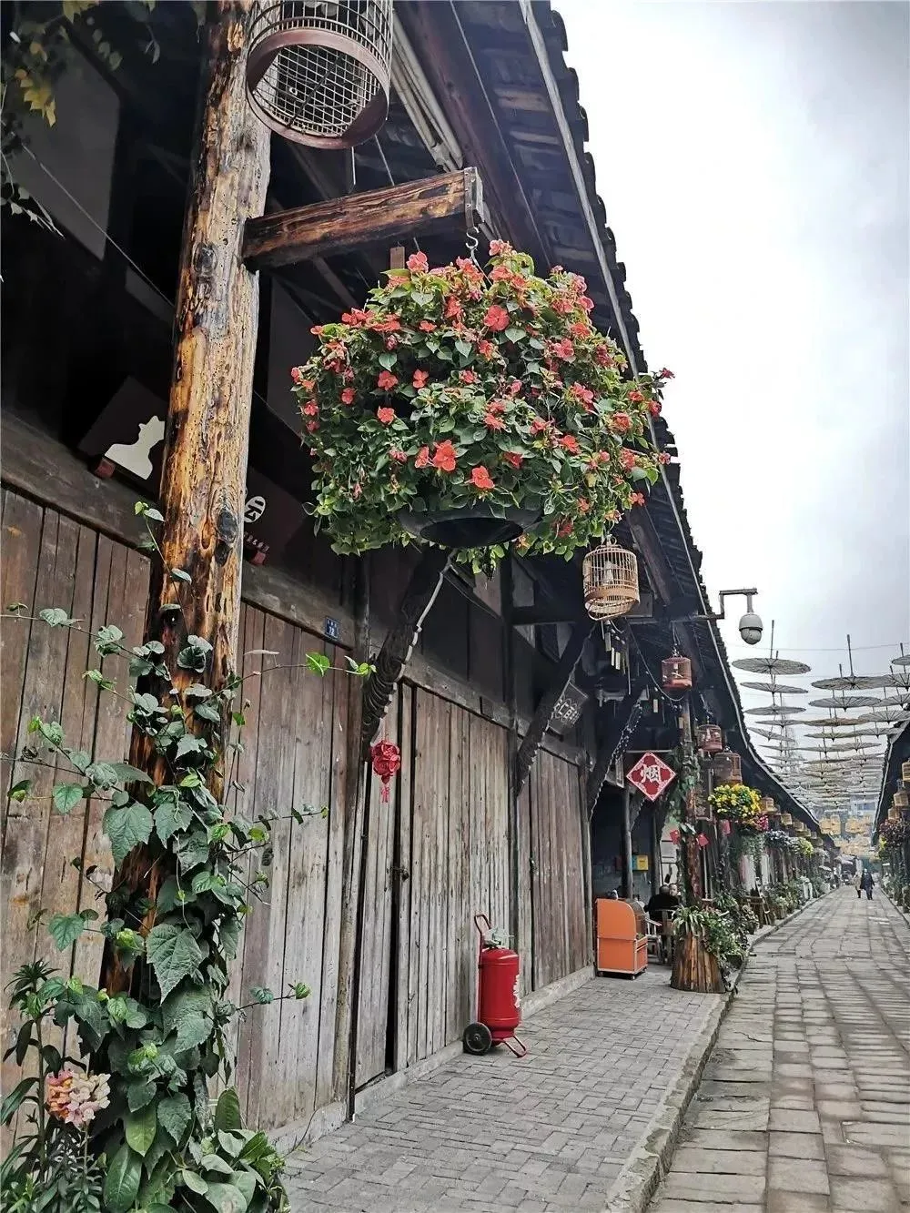 一日游、周末游、三日游……大邑精品旅游线路全攻略，纯干货速收藏